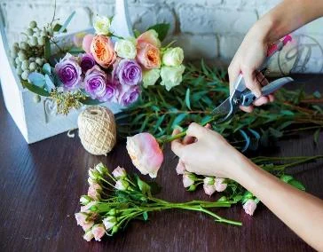 Флористика